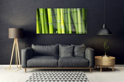 Tablou pe sticla Bamboo Natura Verde