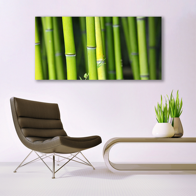 Tablou pe sticla Bamboo Natura Verde