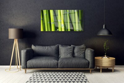 Tablou pe sticla Bamboo Natura Verde