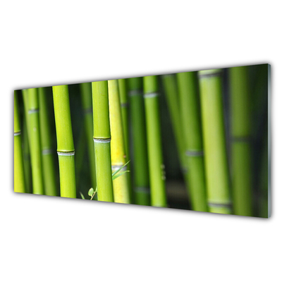 Tablou pe sticla Bamboo Natura Verde