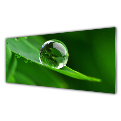 Tablou pe sticla Frunze de apă Picături Floral Verde