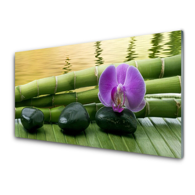 Tablou pe sticla Floare pietre de bambus Tulpini Floral Roz Negru Verde