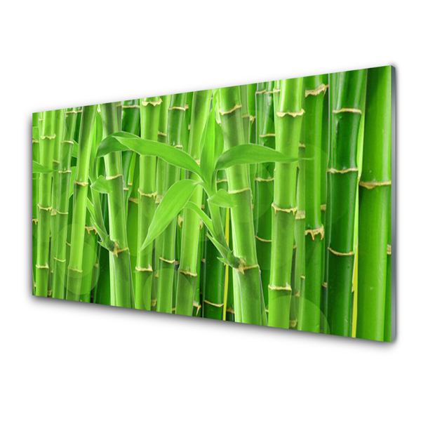 Tablou pe sticla Bamboo Peduncul Floral Verde