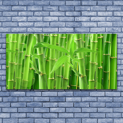 Tablou pe sticla Bamboo Peduncul Floral Verde