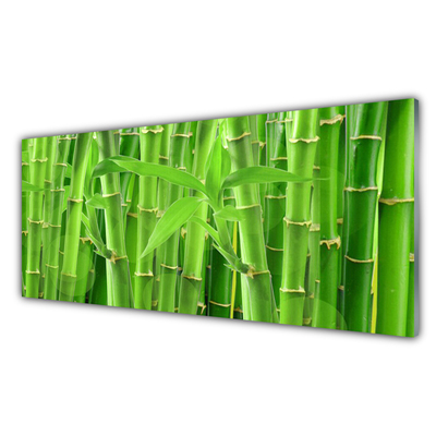 Tablou pe sticla Bamboo Peduncul Floral Verde