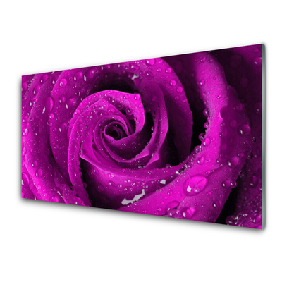Tablou pe sticla Rose Floral roz