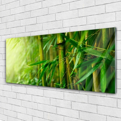 Tablou pe sticla Bamboo Tulpini Floral Verde