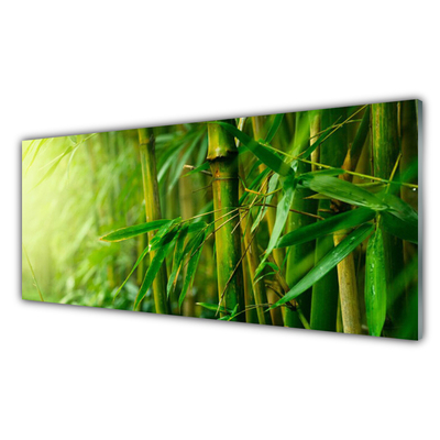 Tablou pe sticla Bamboo Tulpini Floral Verde
