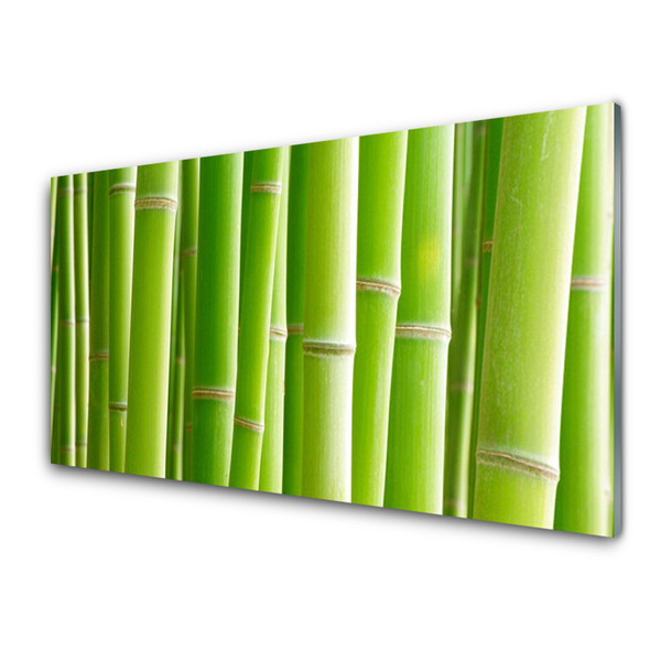 Tablou pe sticla Bamboo Tulpini Floral Verde