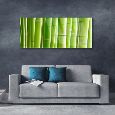 Tablou pe sticla Bamboo Tulpini Floral Verde
