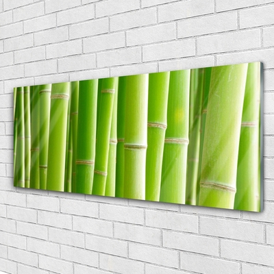Tablou pe sticla Bamboo Tulpini Floral Verde