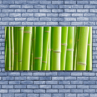 Tablou pe sticla Bamboo Tulpini Floral Verde