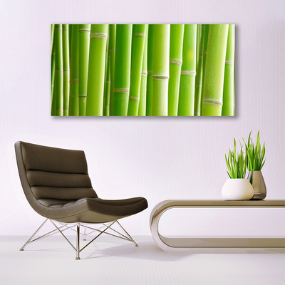 Tablou pe sticla Bamboo Tulpini Floral Verde