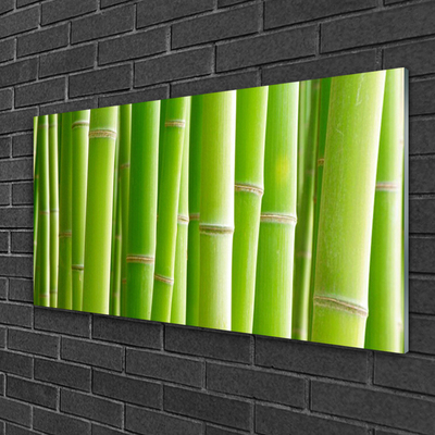 Tablou pe sticla Bamboo Tulpini Floral Verde