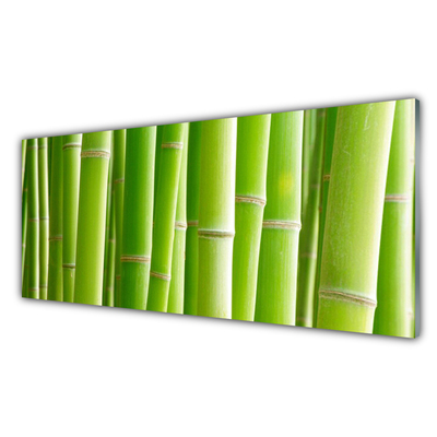 Tablou pe sticla Bamboo Tulpini Floral Verde
