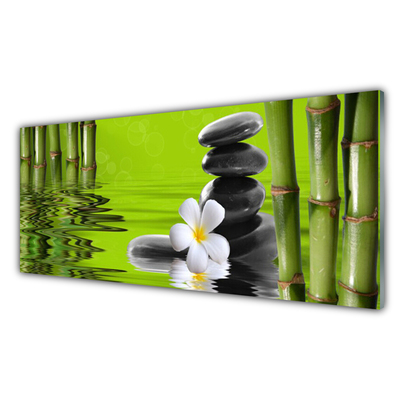 Tablou pe sticla Bamboo Tube flori Stones Arta Verde Negru Alb