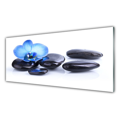 Tablou pe sticla Pietrele de flori Arta Albastru Negru