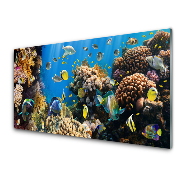 Tablou pe sticla Coral Reef Natura Multi