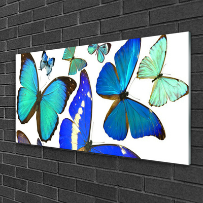 Tablou pe sticla Butterfly Natura Albastru Negru Violet