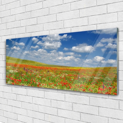Tablou pe sticla Meadow Flori Peisaj Roșu Alb Verde