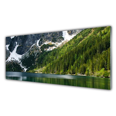 Tablou pe sticla Lacul Munții Peisaj Forestier Gri Alb Verde