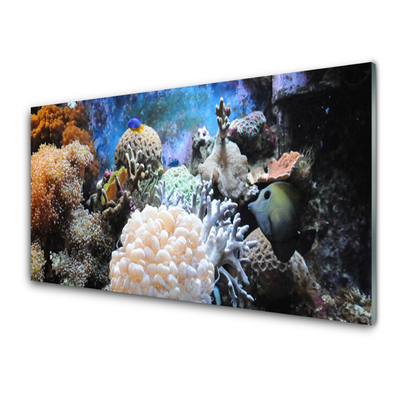 Tablou pe sticla Coral Reef Natura Gri Alb Galben