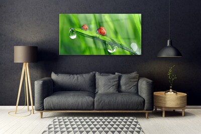 Tablou pe sticla Ladybird Beetle Floral Verde Roșu Negru