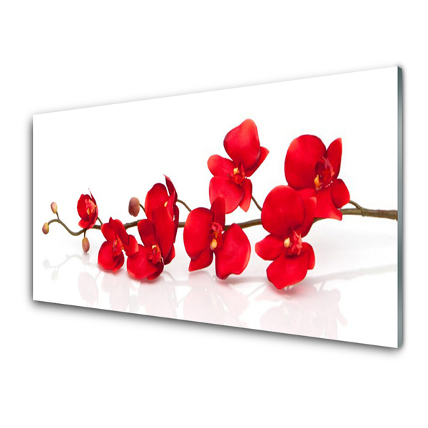 Tablou pe sticla Flori Floral Roșu
