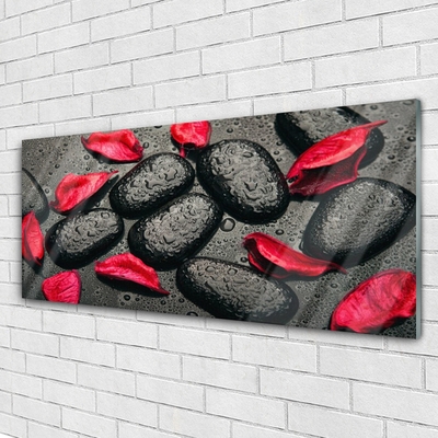 Tablou pe sticla Petale Stones Art Red Gray