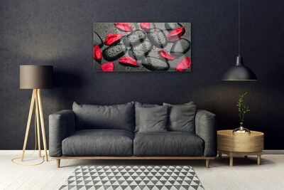 Tablou pe sticla Petale Stones Art Red Gray