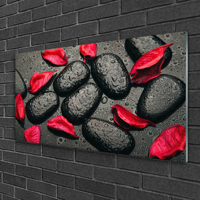 Tablou pe sticla Petale Stones Art Red Gray