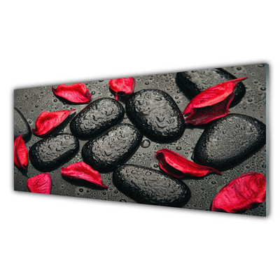 Tablou pe sticla Petale Stones Art Red Gray
