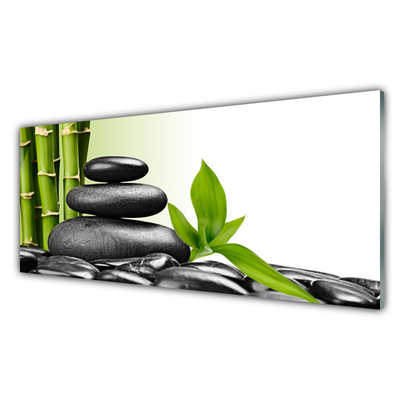 Tablou pe sticla Bamboo coceni de pietre Arta Verde Negru