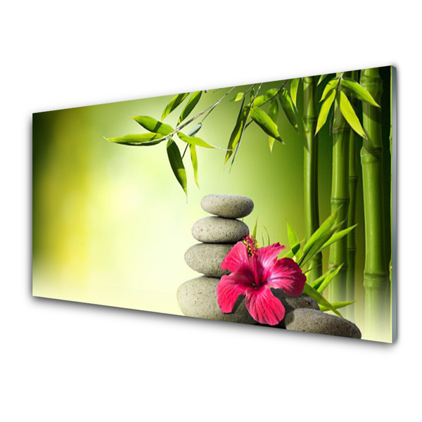 Tablou pe sticla Bamboo Tub flori Stones Floral Verde Roșu Gri