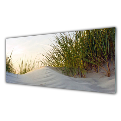 Tablou pe sticla Nisip Iarbă Peisaj Gri Verde