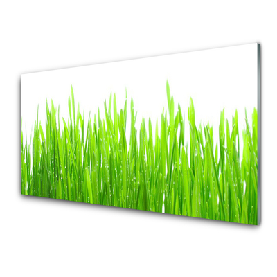 Tablou pe sticla Iarbă Natura verde