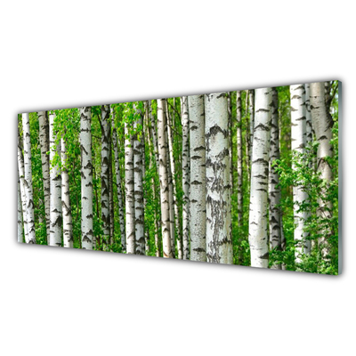 Tablou pe sticla Natural Pădurea Neagră Alb Verde