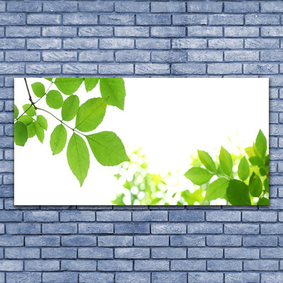 Tablou pe sticla Petale Floral Alb Verde