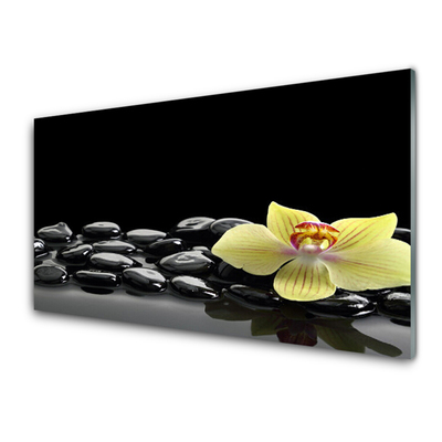 Tablou pe sticla Pietre de flori Bucătărie Galben Negru