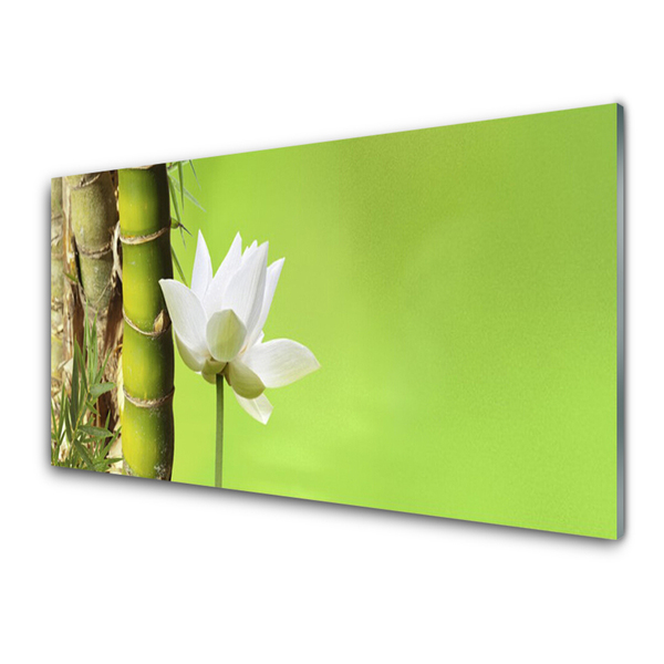 Tablou pe sticla Bamboo peduncul Floral Verde Alb