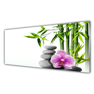 Tablou pe sticla Bambus Cane flori Stones Floral Verde Roz Gri