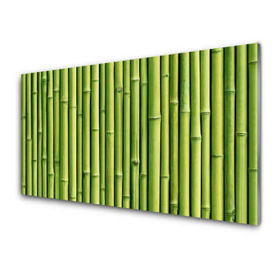 Tablou pe sticla Bamboo Canes Floral Verde