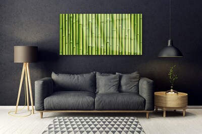 Tablou pe sticla Bamboo Canes Floral Verde