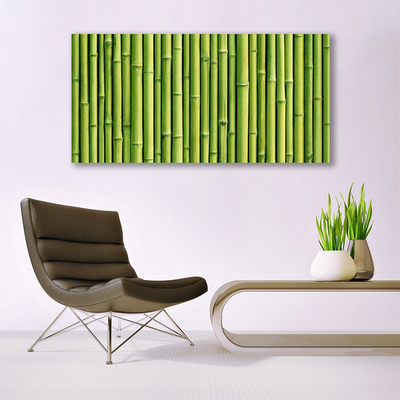 Tablou pe sticla Bamboo Canes Floral Verde