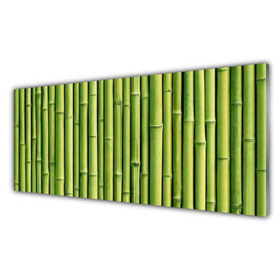 Tablou pe sticla Bamboo Canes Floral Verde