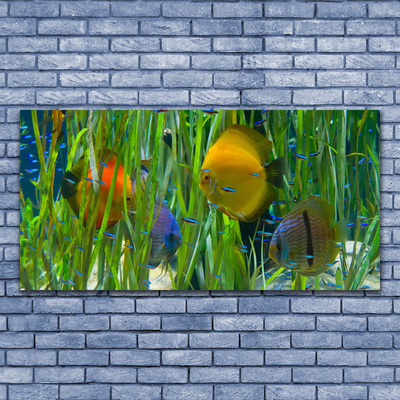 Tablou pe sticla Pește Natura galben