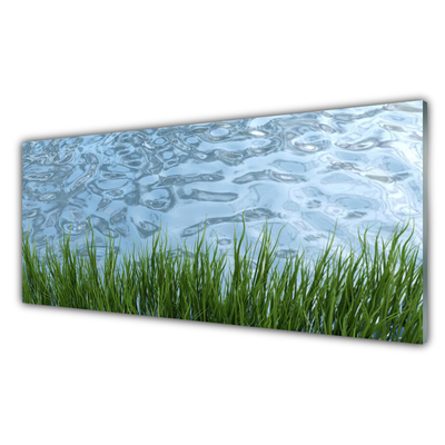 Tablou pe sticla Iarbă Apa Natura Verde Albastru