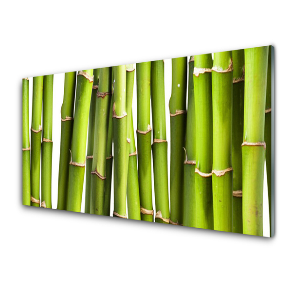 Tablou pe sticla Bamboo Canes Floral Verde