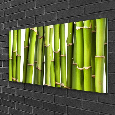 Tablou pe sticla Bamboo Canes Floral Verde