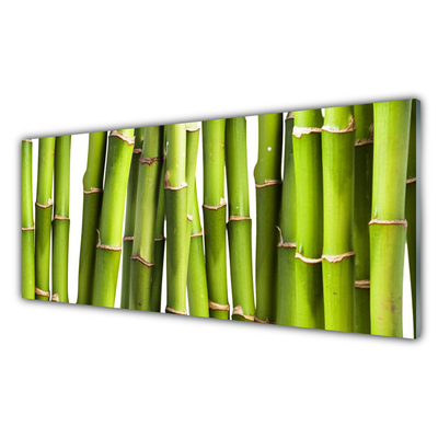 Tablou pe sticla Bamboo Canes Floral Verde